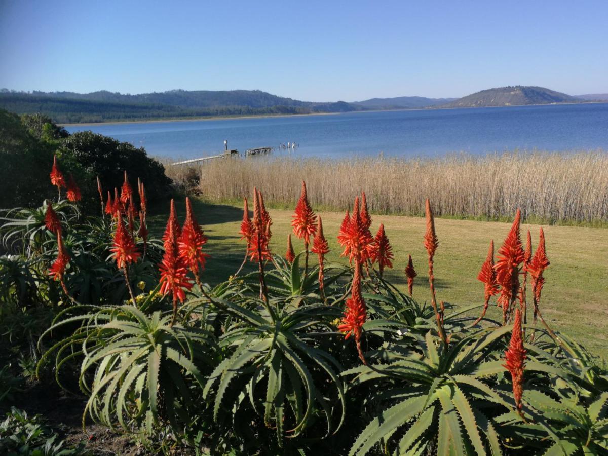 Kairos On The Lake, Swartvlei Lake, Sedgfield, Garden Route 塞吉菲尔德 外观 照片